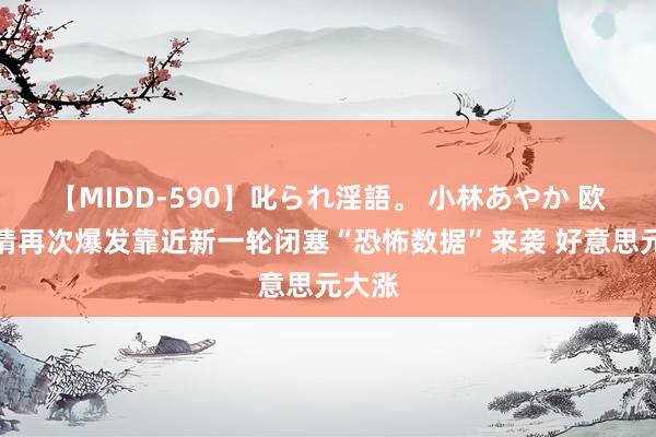 【MIDD-590】叱られ淫語。 小林あやか 欧洲疫情再次爆发靠近新一轮闭塞“恐怖数据”来袭 好意思元大涨