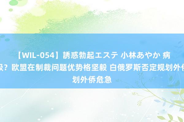 【WIL-054】誘惑勃起エステ 小林あやか 病笃升级？欧盟在制裁问题优势格坚毅 白俄罗斯否定规划外侨危急