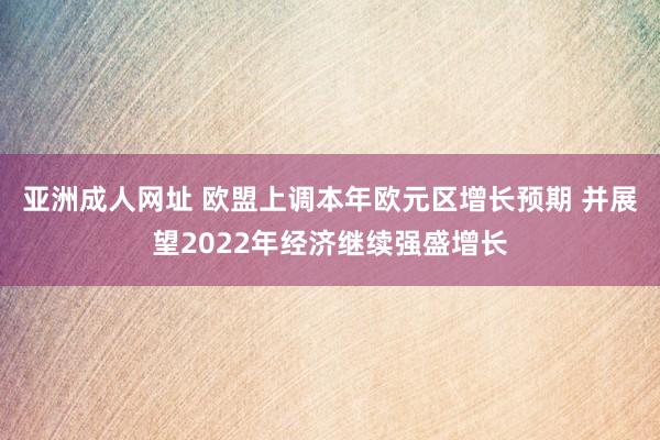 亚洲成人网址 欧盟上调本年欧元区增长预期 并展望2022年经济继续强盛增长