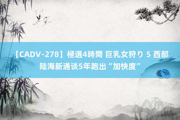 【CADV-278】極選4時間 巨乳女狩り 5 西部陆海新通谈5年跑出“加快度”