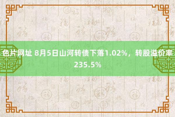 色片网址 8月5日山河转债下落1.02%，转股溢价率235.5%