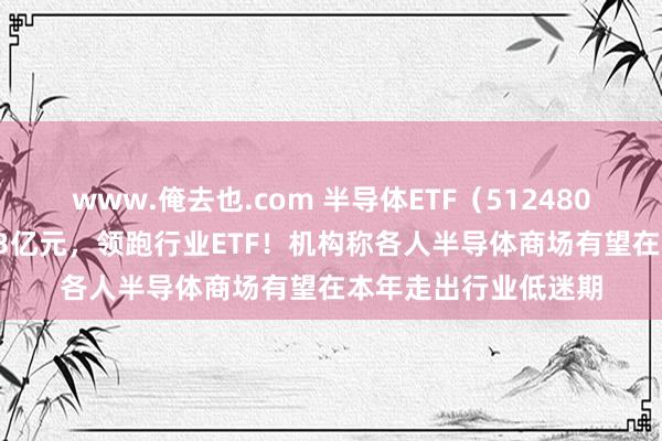 www.俺去也.com 半导体ETF（512480）昨日净流入额5.33亿元，领跑行业ETF！机构称各人半导体商场有望在本年走出行业低迷期