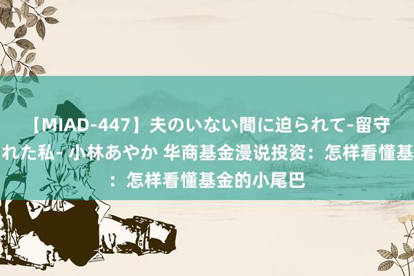 【MIAD-447】夫のいない間に迫られて-留守中に寝取られた私- 小林あやか 华商基金漫说投资：怎样看懂基金的小尾巴