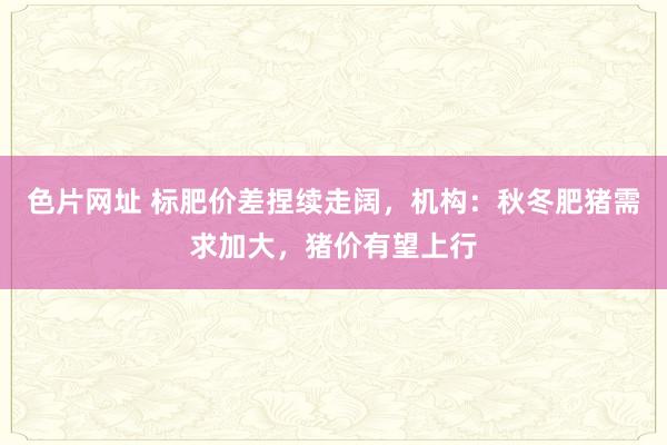 色片网址 标肥价差捏续走阔，机构：秋冬肥猪需求加大，猪价有望上行