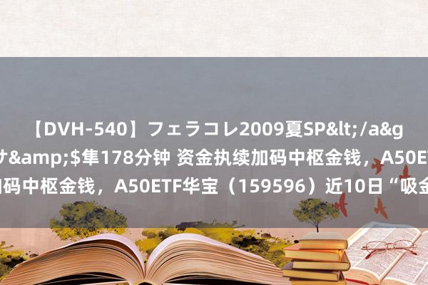 【DVH-540】フェラコレ2009夏SP</a>2010-04-25ハヤブサ&$隼178分钟 资金执续加码中枢金钱，A50ETF华宝（159596）近10日“吸金”超2亿元