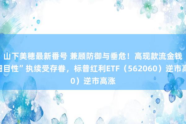 山下美穂最新番号 兼顾防御与垂危！高现款流金钱 “细目性”执续受存眷，标普红利ETF（562060）逆市高涨