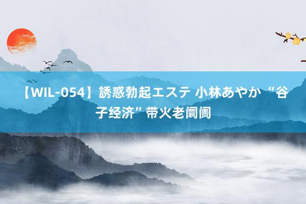 【WIL-054】誘惑勃起エステ 小林あやか “谷子经济”带火老阛阓