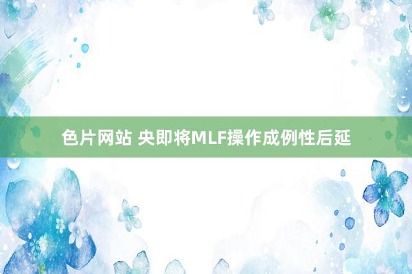 色片网站 央即将MLF操作成例性后延