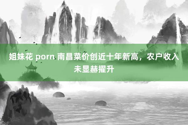 姐妹花 porn 南昌菜价创近十年新高，农户收入未显赫擢升