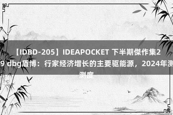 【IDBD-205】IDEAPOCKET 下半期傑作集2009 dbg盾博：行家经济增长的主要驱能源，2024年测度