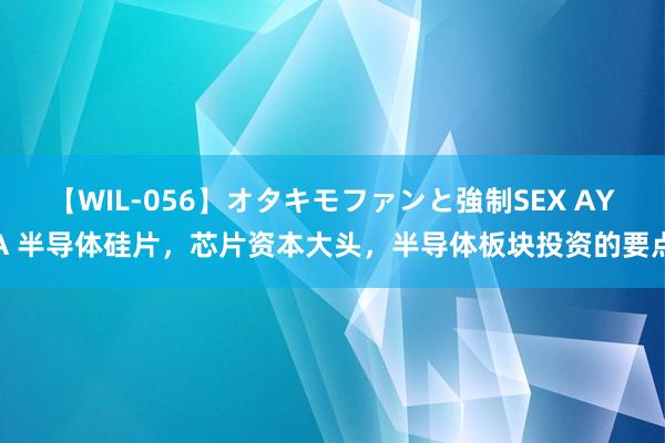 【WIL-056】オタキモファンと強制SEX AYA 半导体硅片，芯片资本大头，半导体板块投资的要点