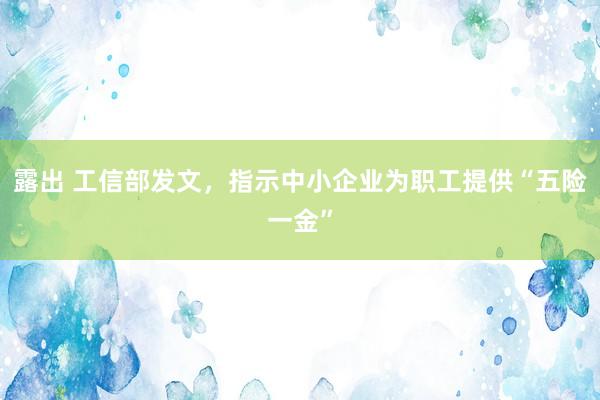 露出 工信部发文，指示中小企业为职工提供“五险一金”