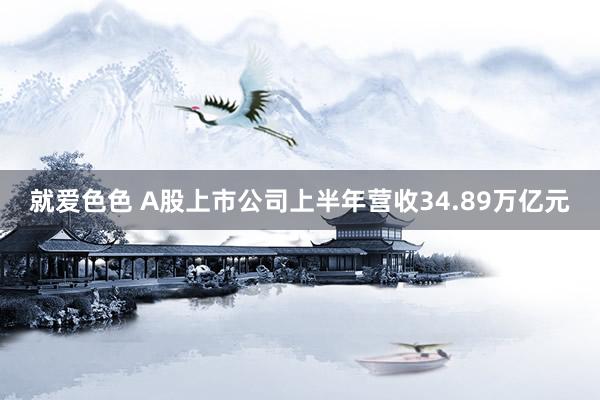 就爱色色 A股上市公司上半年营收34.89万亿元