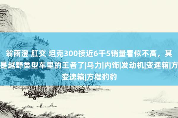 翁雨澄 肛交 坦克300接近6千5销量看似不高，其实照旧是越野类型车里的王者了|马力|内饰|发动机|变速箱|方程豹豹